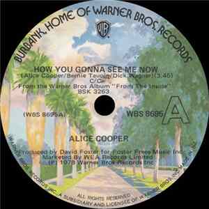 Alice Cooper - How You Gonna See Me Now flac