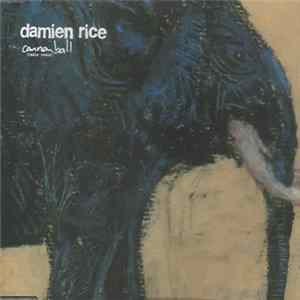 Damien Rice - Cannonball flac