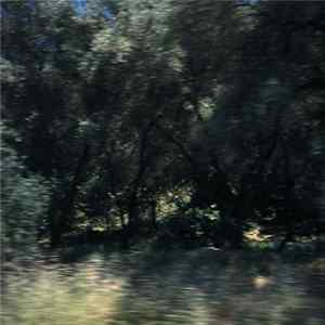Hazard - Wind flac