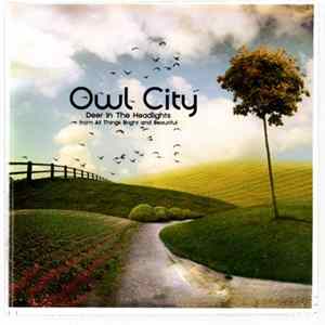 Owl City - Deer In The Headlights flac