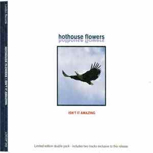 Hothouse Flowers - Isn't It Amazing flac