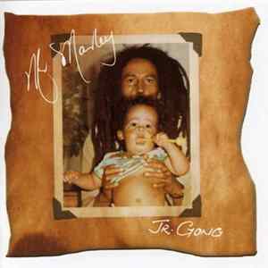 Damian "Jr. Gong" Marley - Mr. Marley flac