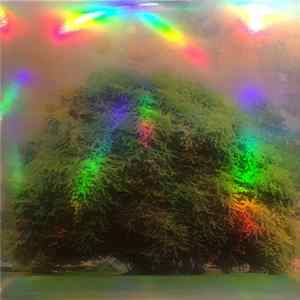 Yo La Tengo - Fade flac