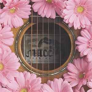 MUCC - Gerbera flac