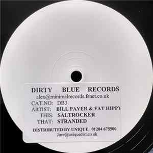 Bill Payer & Fat Hippy - Salt Rocker flac
