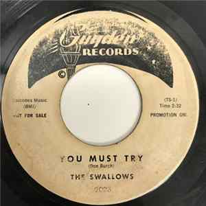 The Swallows - You Must Try / How Long Must A Fool Go On flac