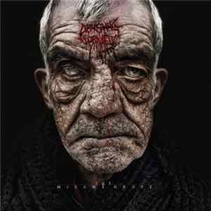 Abysmal Torment - The Misanthrope flac