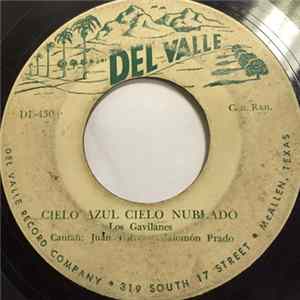 Los Gavilanes - Cielo Azul Cielo Nublado / Valentin De La Sierra flac