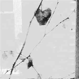 Forest Management - Remain flac