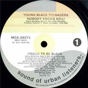 Young Black Teenagers - Nobody Knows Kelli / Proud To Be Black flac