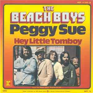 The Beach Boys - Peggy Sue flac