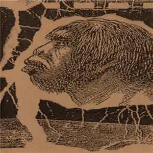 SSRI - Robust flac