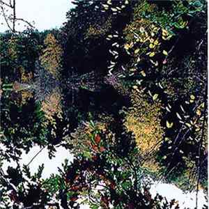 Aluminum Noise - Walden flac