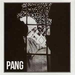 Pang - Young Professionals flac