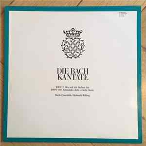 Johann Sebastian Bach - Bach-Ensemble, Helmuth Rilling - Die Bach Kantate - BWV 5 - Wo Soll Ich Fliehen Hinn / BWV 180 - Schmücke Dich O Liebe Seele flac