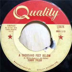 Terry Tyler - A Thousand Feet Below flac