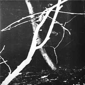 Vrasësinerëzve - Demo III flac