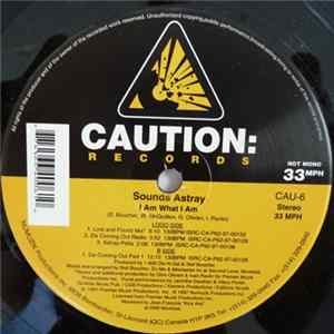 Sounds Astray - I Am What I Am flac