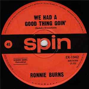 Ronnie Burns - We Had A Good Thing Goin' flac