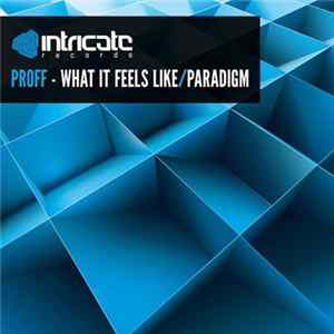 PROFF - What It Feels Like / Paradigm flac