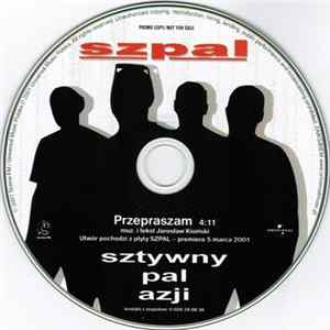 Sztywny Pal Azji - Przepraszam flac