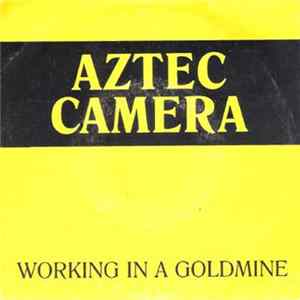 Aztec Camera - Working In A Goldmine flac