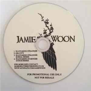 Jamie Woon - Wayfaring Stranger flac