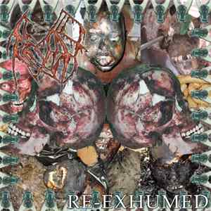 Decay - Re-Exhumed / Re-Animated CDR And VCDR Set flac