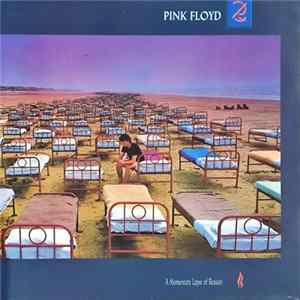 Pink Floyd - A Momentary Lapse Of Reason flac