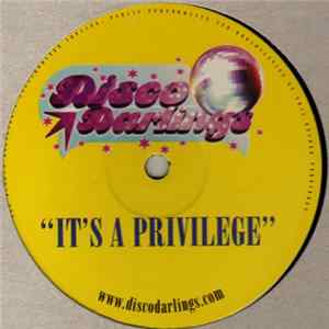Disco Darlings - It's A Privilege flac