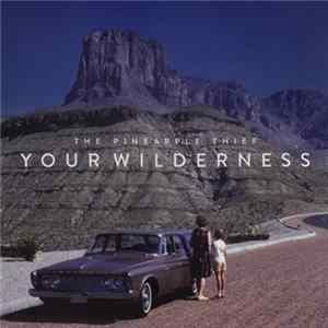 The Pineapple Thief - Your Wilderness flac