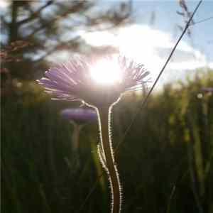 dougtesnow - Sunstroke ep flac