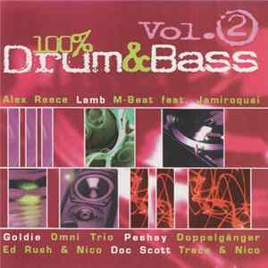 Various - 100% Drum & Bass Vol. 2 flac