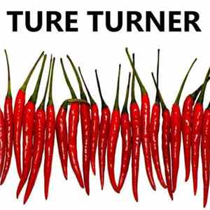 Ture Turner - African Heroes flac