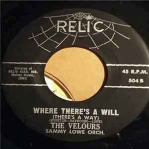 The Velours - Where There's A Will / Can I Come Over Tonight flac
