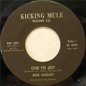 Bob Hadley - Ode To Joy flac