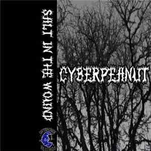 CyberPeanut - Salt In The Wound flac