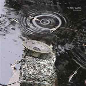 Rolf Julius - Raining - Small Music No. 3 flac