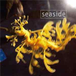 Seaside - Seaside flac