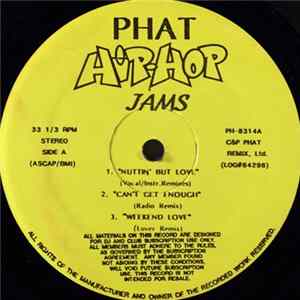 Various - Phat Hip-Hop Jams flac