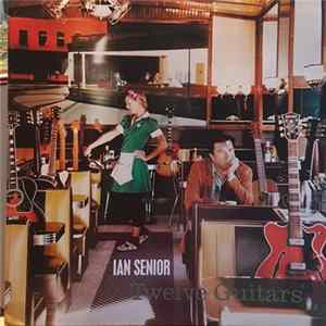 Ian Senior - Twelve Guitars flac