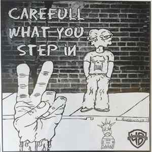 Various - Carefull What You Step In 2 flac