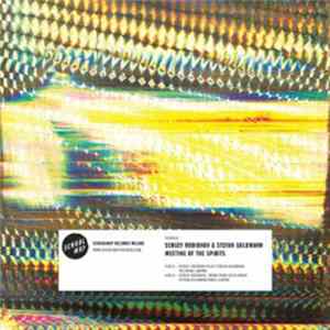 Sergey Rodionov & Stefan Goldmann - Meeting Of The Spirits flac