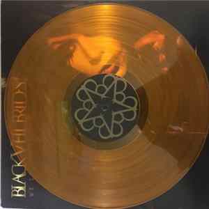 Black Veil Brides - We Stitch These Wounds flac