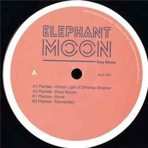 Plantae - Easy Waves flac