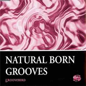 Natural Born Grooves - Groovebird flac