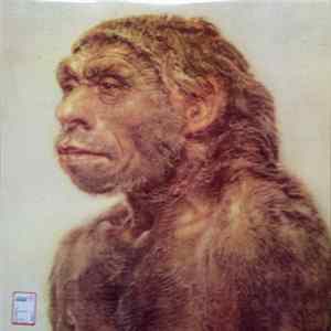 Fluxus - Non Esistere flac