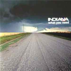 Indiana - What You Need flac