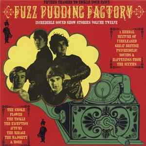 Various - Incredible Sound Show Stories Volume Twelve (Fuzz Pudding Factory) flac