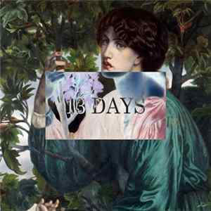 Birdmask - 13 Days flac